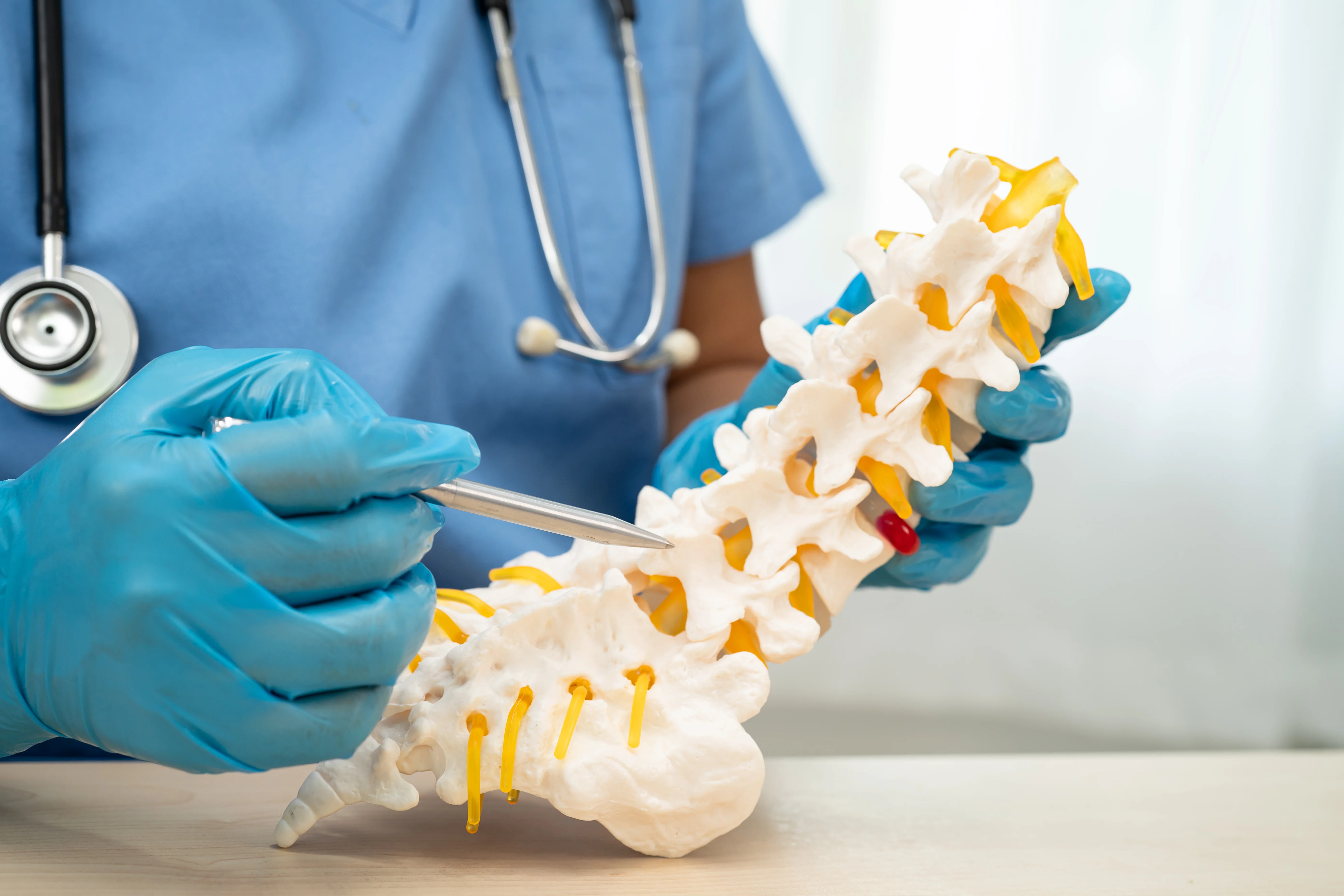 Endoscopic Spine Surgery  ,Tumor and Disc Surgery